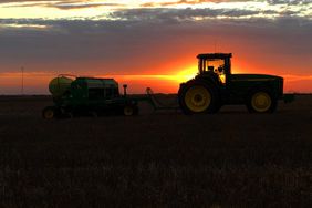 Wheat Planting