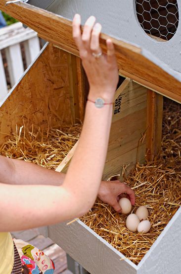 nesting box