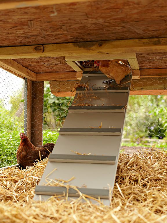 Chicken coop ramp