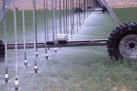 irrigate-alfalfa-reduce-water-use