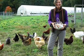 Woman collecting eggs with chickens in background