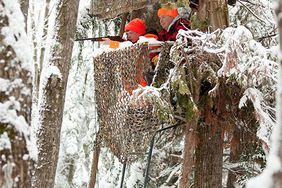 hunting in tree stand