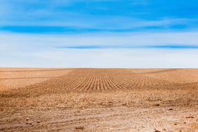 Strip tillage