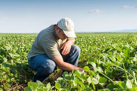 young-farmers-concerns