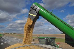 Soybeans Auger