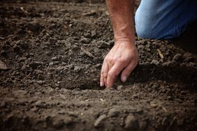 A farmer's hand digging in the soil