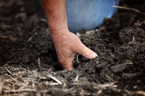 An Iowa farmer digs soil with his hand