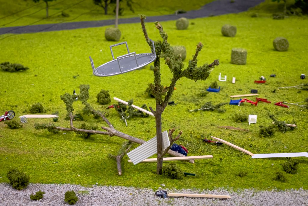 A mini trampoline stuck in a model tree from the tornado's path. 