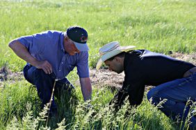 Two ranchers check the pasture