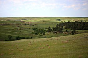 Dark green trees in the distance on rolling green hills