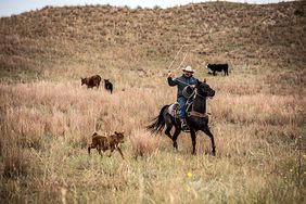 robert jones diamond bar ranch