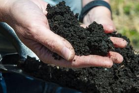 Rich, black soil in the hand of a farmer