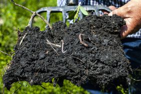 A farmer holds a pitchfork full of soil with roots and earthworms