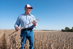 farmer Tom Oswald of Cleghorn, Iowa examines his soybeans