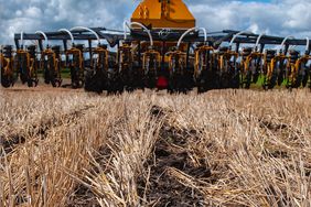 Strip till in field