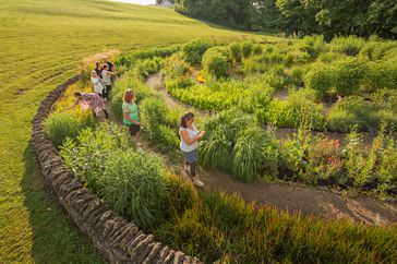 labyrinth garden