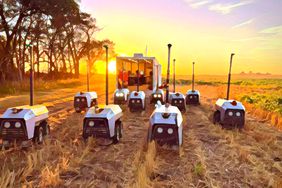 Ten white GreenField bots in a field. 