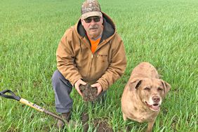 Man and dog in field 