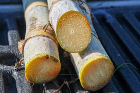 Sugarcane