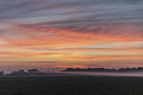 soybean_sunset_landscape