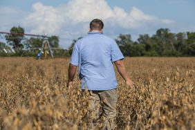 Producer walking in a field