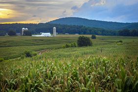 A scenic farm view