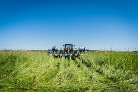 An Indiana farmer plants corn directly into his cover crops