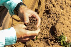 Agronomist with a handful of soil