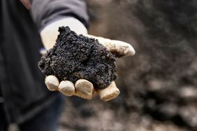 A gloved hand holds a clump of dark soil.