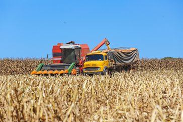 harvest in Brazil