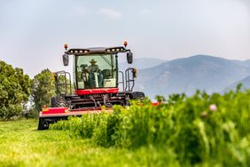 Red Hesston by Massey Ferguson windrower in the field.