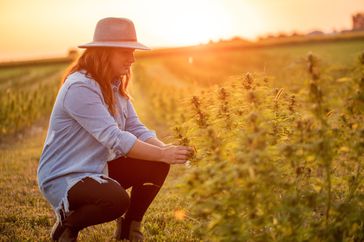 Alissa Gardner in hemp field