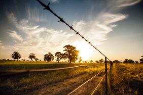 Fencing-Wideshot