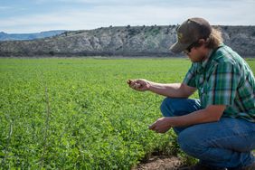 Arizona-Irrigation-Insider