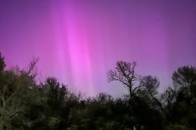 Aurora borealis north of the chicken coop