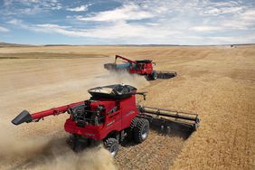 Red Case IH combines driving through wheat field at midday.