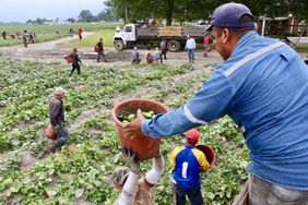 Migrant-workers