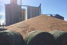 A pile of grain at an elevator.