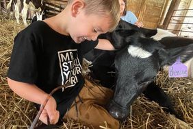 boy cuddling a calf at Sunset View Creamery