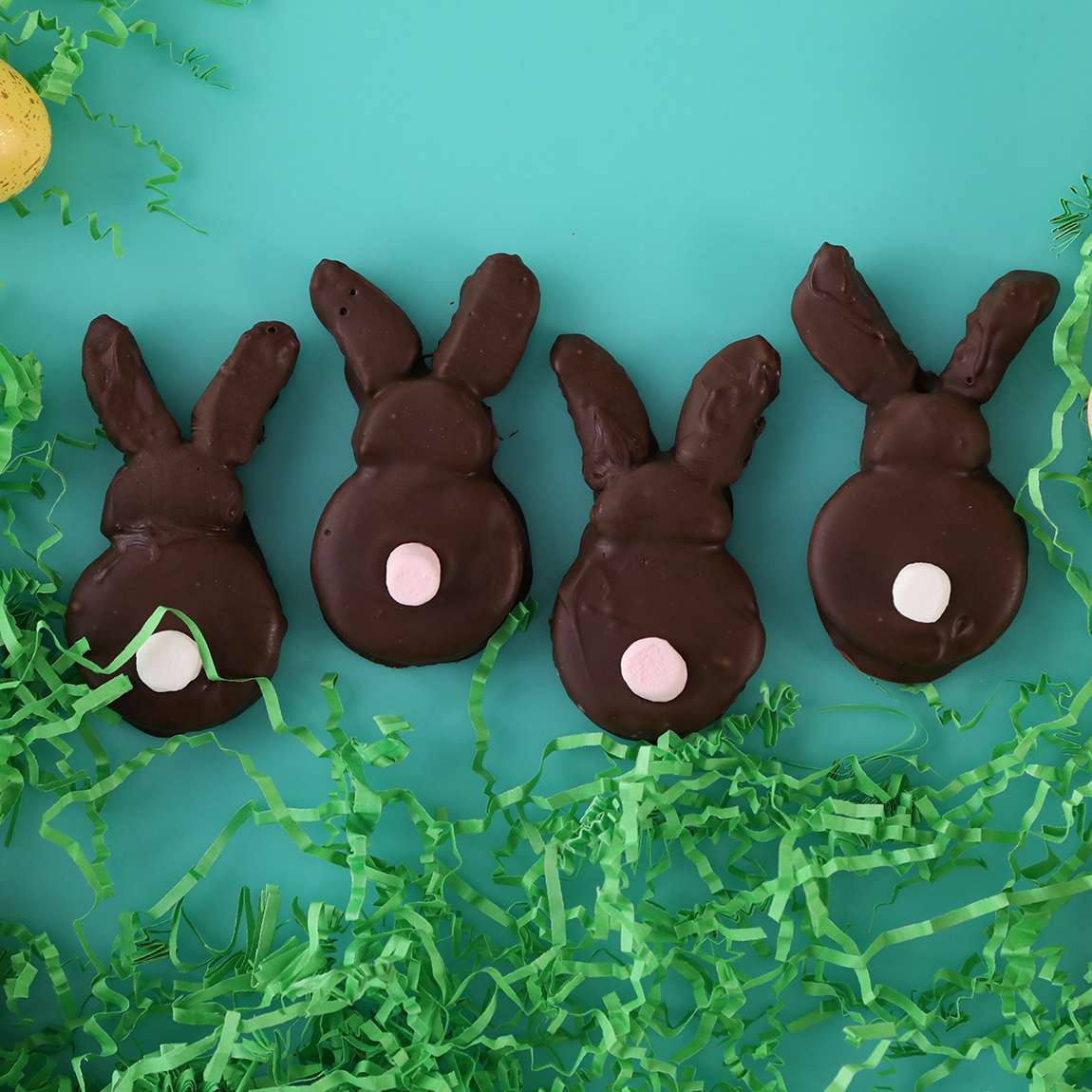 chocolate-dipped bunny treats