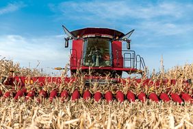 Case IH 4400 Series corn head