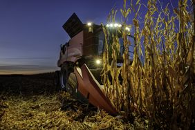 Case combine harvesting near sunset.