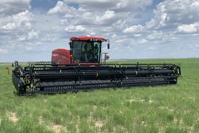 Case IH windrower with Honey Bee draper head