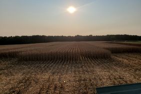 Chad-Henderson-harvest-field