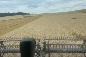 Looking out the combine windshield during winter wheat harvest in Alabama on a cloudy day