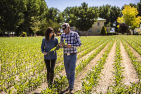 40 Seasons: Farming whiskey