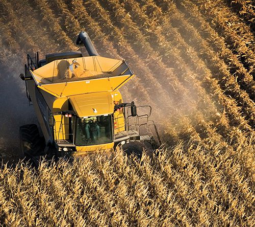 Combine in corn