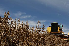 A Class combine harvesting soybeans.