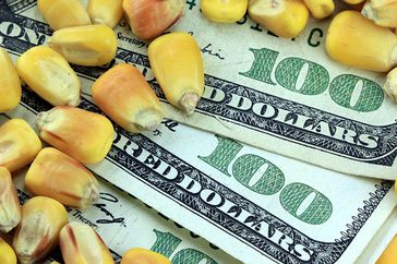 corn-money-close-up