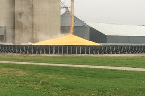 A large corn pile at an elevator.